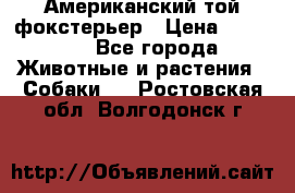 Американский той фокстерьер › Цена ­ 25 000 - Все города Животные и растения » Собаки   . Ростовская обл.,Волгодонск г.